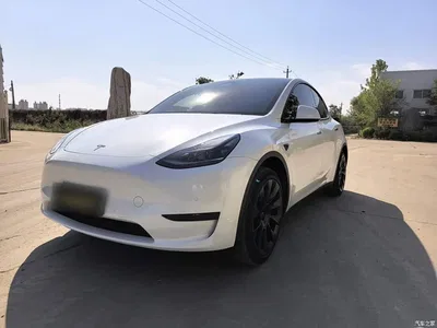 2023 Tesla Model Y Rear-Wheel Drive Edition, фото 2, лот 10886572