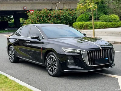 2024 Hongqi H5 2.0T Automatic Smart Connect Flag Smooth Edition, фото 2, лот 11538116
