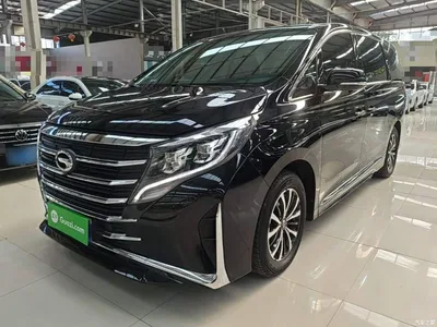 2023 GAC Trumpchi Trumpchi M8 Leading Series 390T Luxury Edition, фото 1, лот 10387321