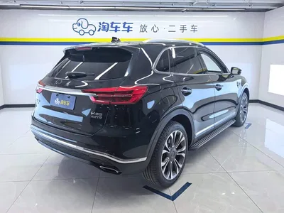 2019 Hongqi HS5 2.0T Smart Connect Enjoy 4WD Edition, фото 3, лот 10765162