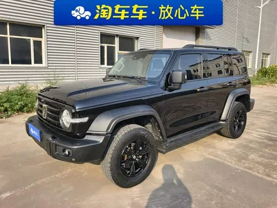 2021 Tank 300 Off-road Edition 2.0T Challenger, фото 1, лот 10346545