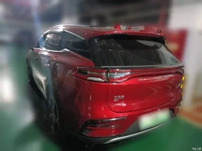 2021 BYD Tang New Energy DM 2.0T 4WD Performance Premium, фото 4, лот 10684841