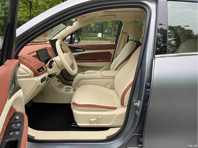 2025 Ora Good Cat 430km Honor Edition, фото 4, лот 11549788