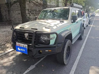 2021 Tank 300 Off-road Version 2.0T Conqueror, фото 2, лот 11584284