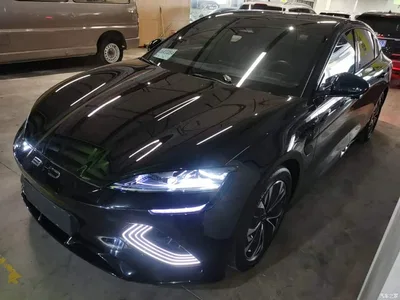 2023 BYD Seal Champion Edition 550km Elite, фото 1, лот 10258803