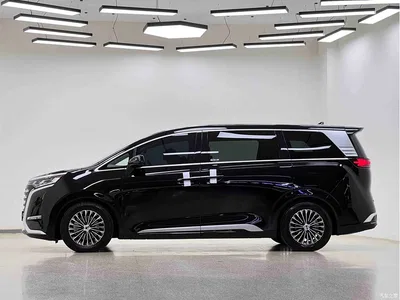 2024 Denza D9 DM-i 980 AWD Premium, фото 4, лот 10346495