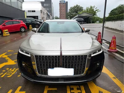 2020 Hongqi H9 3.0T Smart Connection Qi Chang Edition, фото 2, лот 10827961