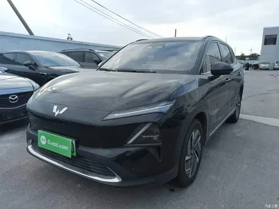 2025 Wuling Motors Wuling Xingguang S 130km Flagship, фото 1, лот 10836047