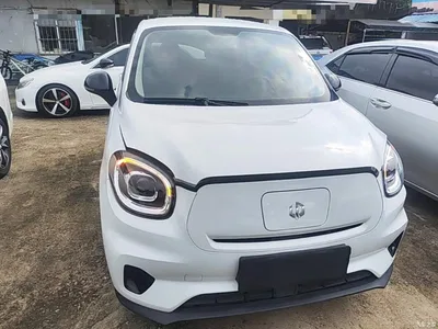 2023 Leapmotor T03 200 Light Edition, фото 3, лот 10476923
