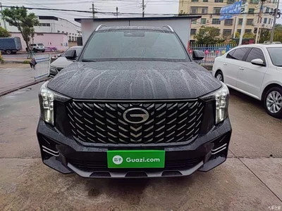 2025 GAC Trumpchi Trumpchi GS8 Pilot Series 2.0TGDI 2WD Luxury Edition 5-seater, фото 3, лот 11067499