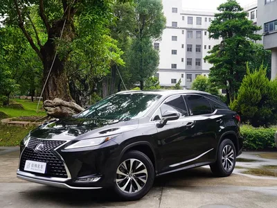 2020 Lexus RX Facelift 300 2WD Comfort Edition, фото 2, лот 10313104