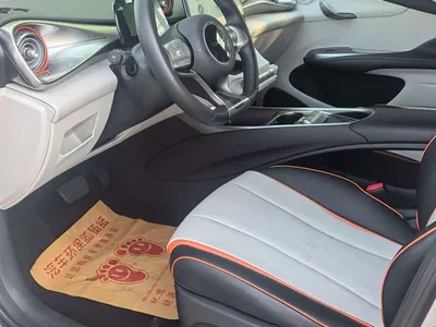 2021 BYD Dolphin Model 405km Fashion Edition, фото 4, лот 11067910