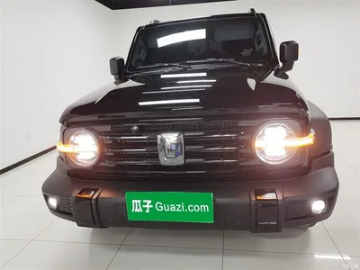 2023 Tank 300 Off-Road Edition 2.0T Conqueror, фото 3, лот 10345580