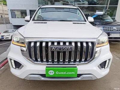 2022 Haval H9 2.0T Gasoline 4WD Elite 5-Seater, фото 3, лот 10285339