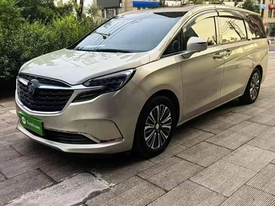 2021 Buick GL8 ES Landlord 653T Luxury, фото 1, лот 10262368