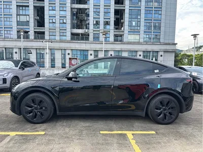 2024 Tesla Model Y Rear-Wheel Drive Version, фото 4, лот 11564737