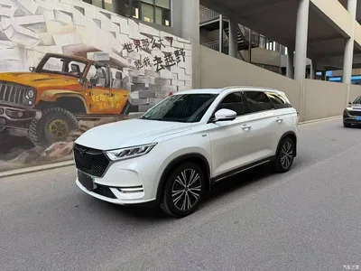 2021 Oshan X7 1.5T Automatic Premium, фото 1, лот 10407588