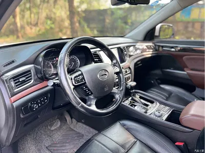 2017 GAC Trumpchi Trumpchi GS8 320T AWD Luxury Smart Connect (7-Seater), фото 4, лот 10419887