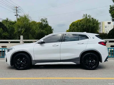 2021 BMW X2 sDrive25i Leading M Sport Package, фото 4, лот 10475429