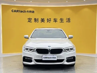 2018 BMW 5 Series 530Li Premium M Sport Package, фото 3, лот 10898786