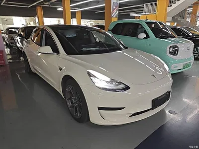 2020 Tesla Model 3 Standard Range Rear-Wheel Drive Upgrade, фото 4, лот 10370189