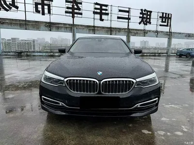 2019 BMW 5 Series New Energy 530Le Luxury Package, фото 2, лот 11210908
