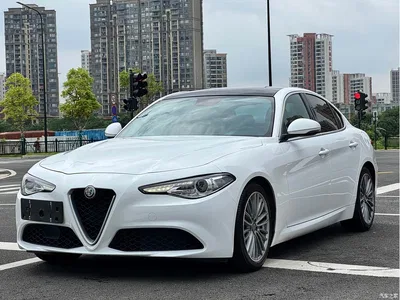 2017 Alfa Romeo Giulia 2.0T 280HP Luxury Edition, фото 3, лот 10240284