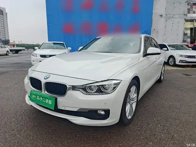 2017 BMW 3 Series 320Li Fashion, фото 1, лот 10457524