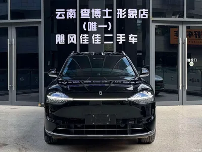 2024 AITO Wenjie AITO M9 Range Extender Max 52kWh 6-seater, фото 2, лот 10277366