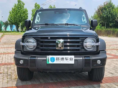 2025 Tank 300 New Energy Hi4-T, фото 2, лот 10345131