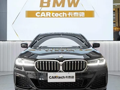 2021 BMW 5 Series 530Li Premium M Sport Package, фото 1, лот 11081560