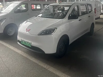 2024 Wuling Motors Wuling Hongguang New Energy Pure Electric 300KM Standard, фото 1, лот 11167337