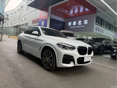 2021 BMW X4 xDrive 25i M Sport Glorious Night Package, фото 3, лот 10476851