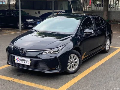 2023 Toyota Corolla 1.2T Pioneer Edition, фото 1, лот 10334383
