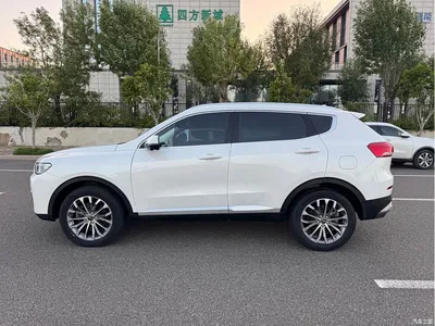 2020 Haval H6 2.0GDIT Automatic Platinum Champion Edition, фото 4, лот 10296102