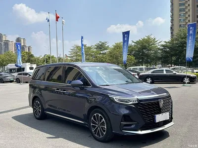 2021 Roewe iMAX8 400TGI Supreme Series Honor, фото 3, лот 10894369