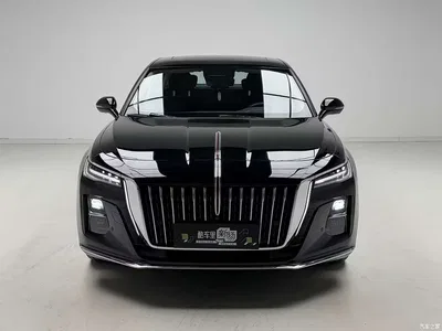 2024 Hongqi H5 2.0T Automatic Smart Connect Flag Smooth Edition, фото 2, лот 10287483