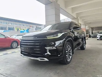 2019 Exeed Lingyun 1.6T 2WD Starlight Edition, фото 2, лот 11155444