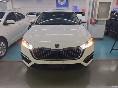 2021 Škoda Octavia PRO TSI280 DSG Luxury Edition, фото 3, лот 10476424