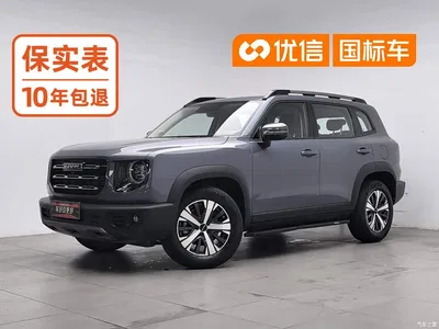 2021 Haval Big Dog 1.5T DCT 2WD Labrador Edition, фото 1, лот 10361769