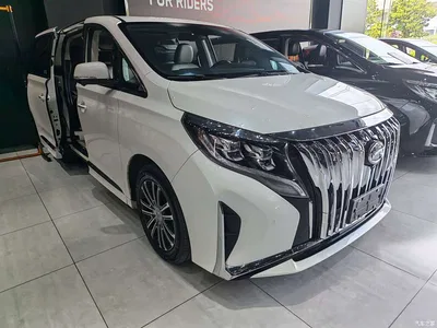 2021 GAC Trumpchi Trumpchi M8 Leading Show Series 390T Ultimate Edition, фото 3, лот 10417616