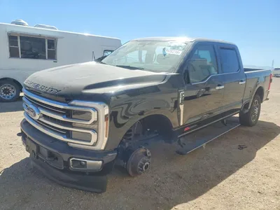 2025 FORD F250 SUPER DUTY, фото 1, лот 10533585
