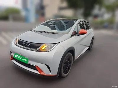 2021 BYD Dolphin Model 405km Fashion Edition, фото 1, лот 10264627
