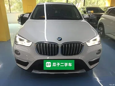 2019 BMW X1 xDrive20Li Luxury Model, фото 3, лот 10389395