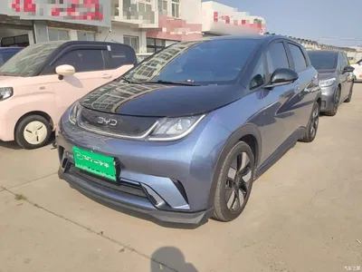 2025 BYD Dolphin 520km Knight Edition, фото 2, лот 11073716