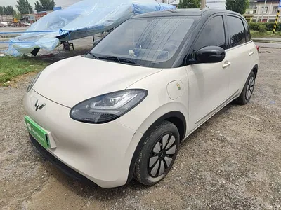 2024 Wuling Motors Wuling Bingo 333km Comfort Edition, фото 2, лот 10370760