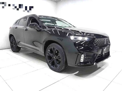 2020 WEY VV7 Model 2.0T Flagship, фото 3, лот 11448608