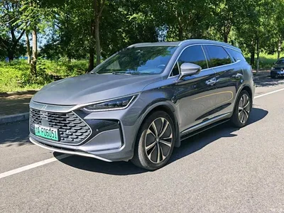 2022 BYD Tang New Energy DM-p 215KM AWD Executive, фото 1, лот 10376269