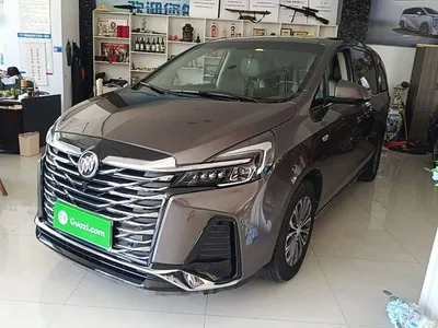 2023 Buick GL8 Model Land Business Class Comfort, фото 1, лот 10262056