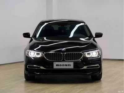 2020 BMW 5 Series 525Li Luxury Package, фото 2, лот 11174920